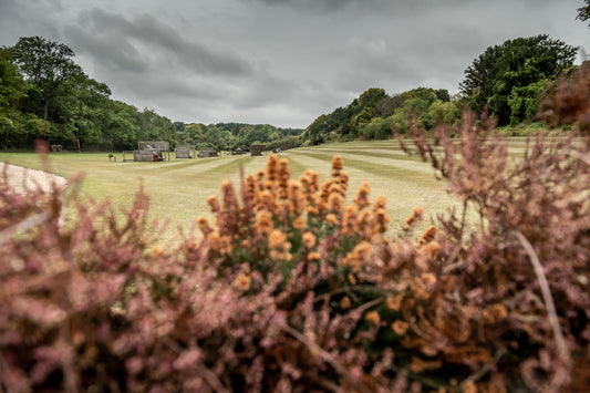 Royal Berkshire reopening- Tuesday 26th May 2020